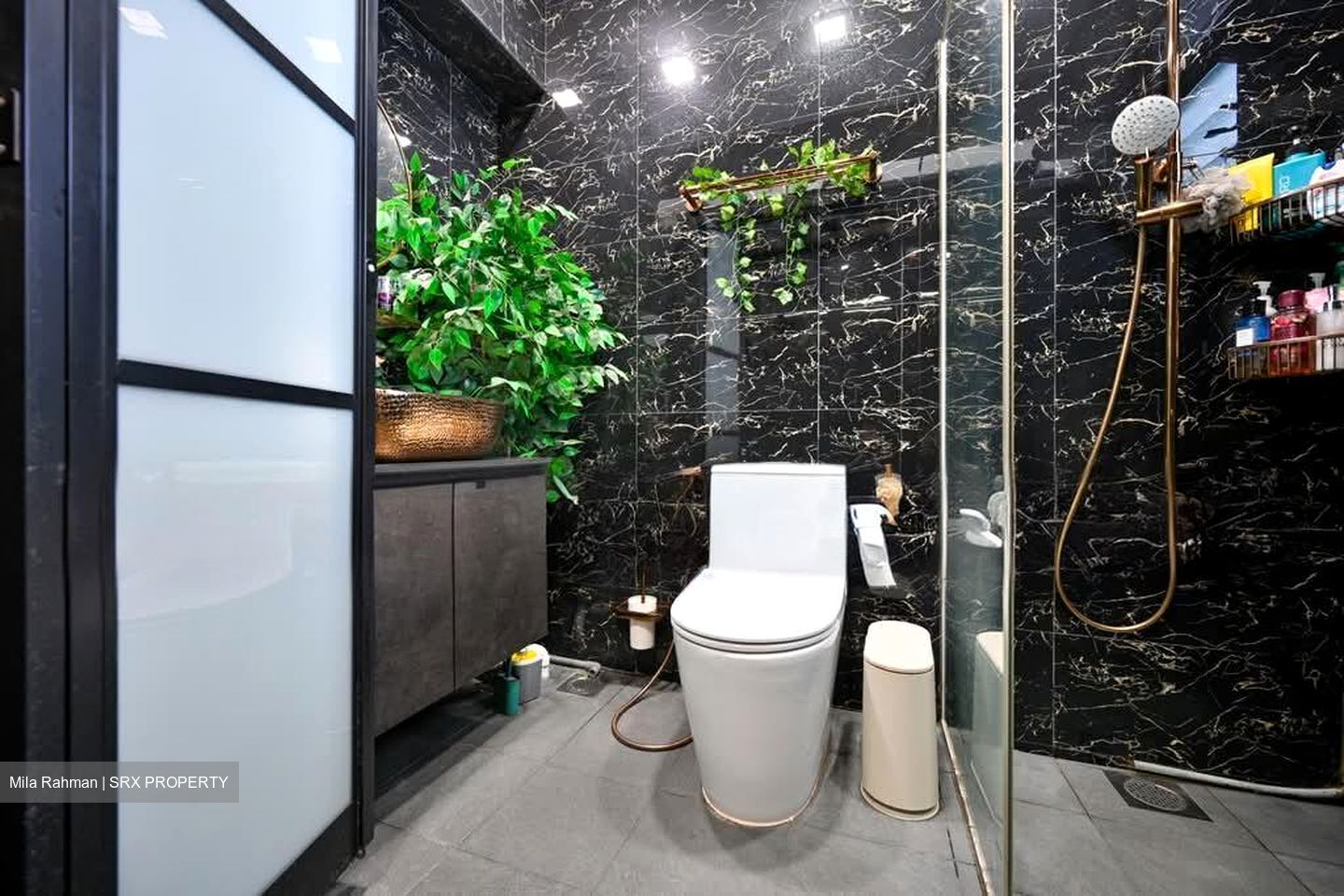 Blk 250C Compassvale Haven (Sengkang), HDB Executive #581191671